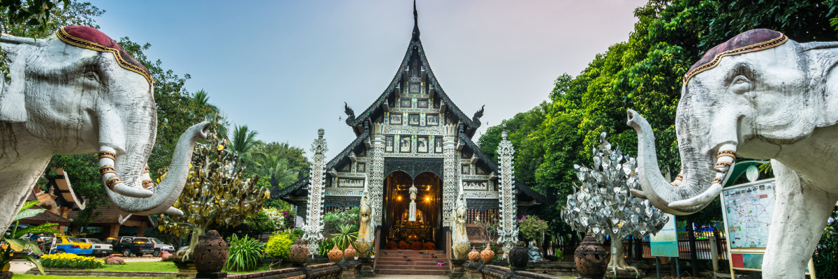 Local Genie – Chiang Mai, Thailand